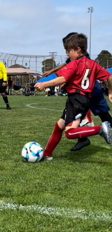 Spring Training Sports